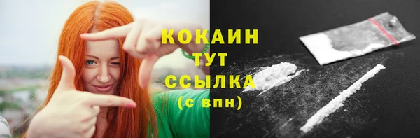 индика Теберда