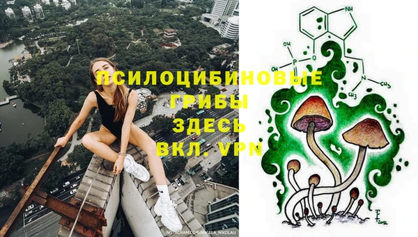 мет Магас