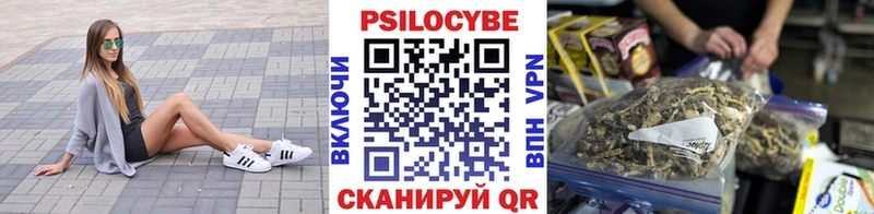 цены наркотик  Ессентуки  Псилоцибиновые грибы мицелий 