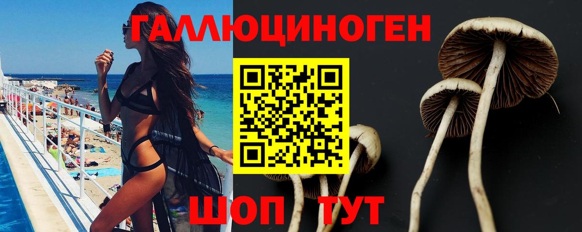 Псилоцибиновые грибы Magic Shrooms  цены   Ессентуки  Вход с VPN 