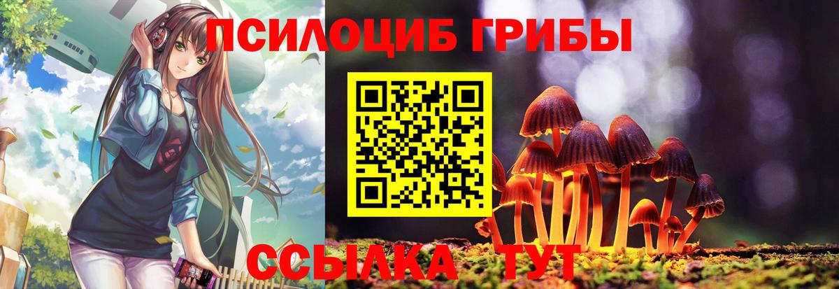 Псилоцибиновые грибы GOLDEN TEACHER Ессентуки